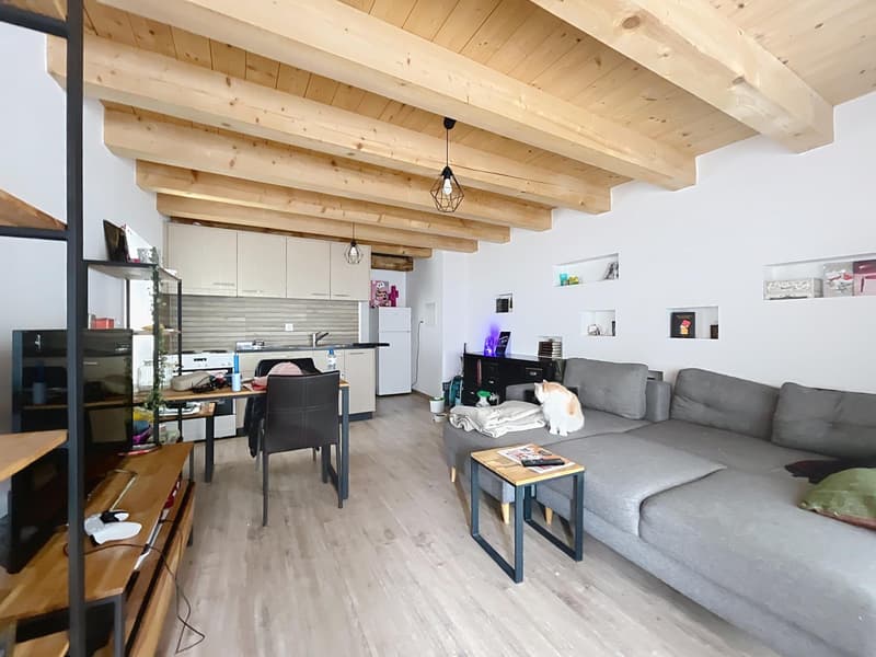 Immeuble de rendement | 8 appartements | Romont (10)