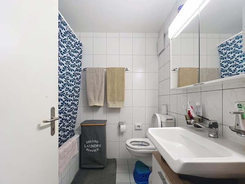 3.5 pièces lumieux | centre village (4)