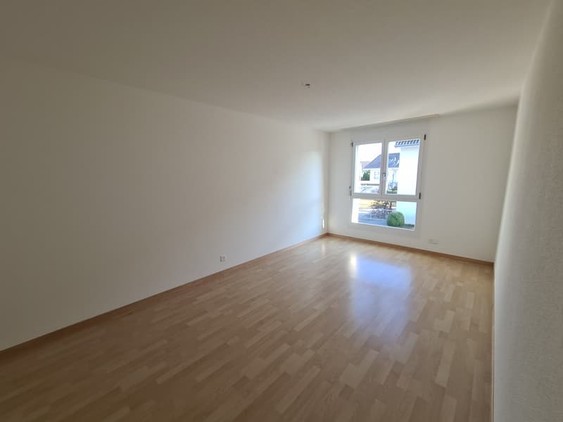 Appartamento bello in una buona posizione (4)