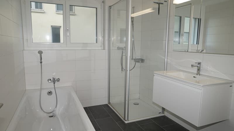 Modern 4.5-room apartment in a green setting! (5)