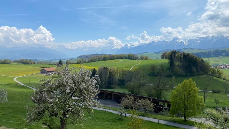 Appartamento di 4,5 locali in una posizione panoramica (9)