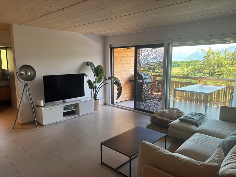 Appartamento di 4,5 locali in una posizione panoramica (5)