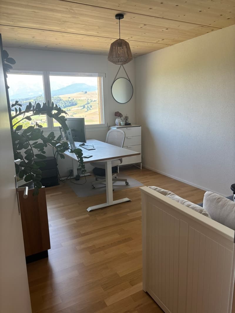 Appartamento di 4,5 locali in una posizione panoramica (7)