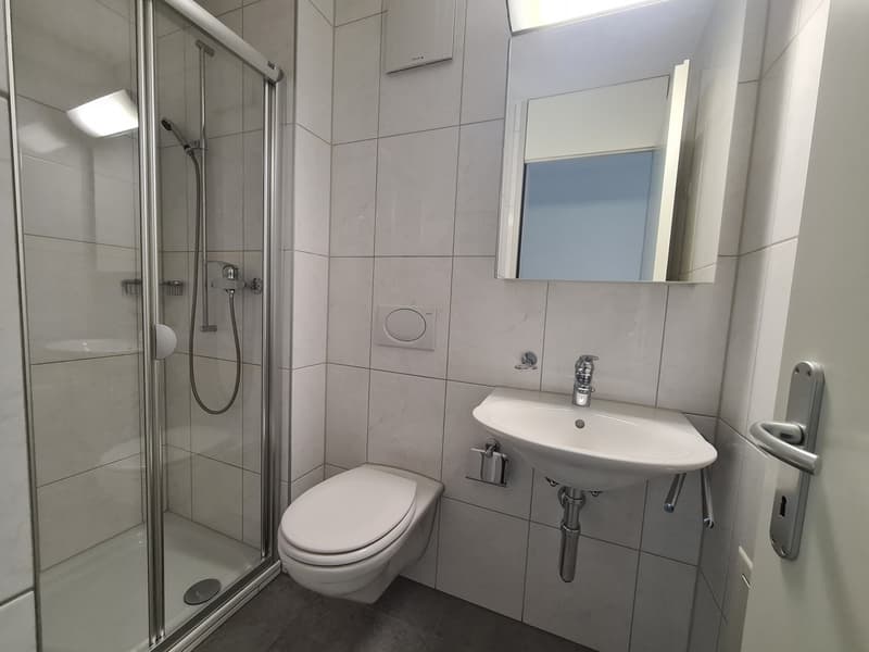 Helle und geräumige 4.5-Zimmer-Wohnung mit Balkon und Abendsonne (4)