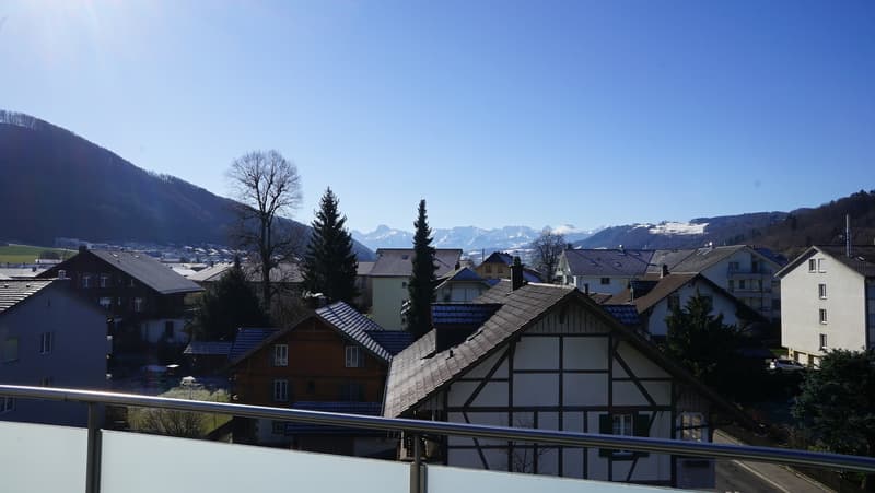 Exklusive Attikawohnung mit Jacuzzi! (5)
