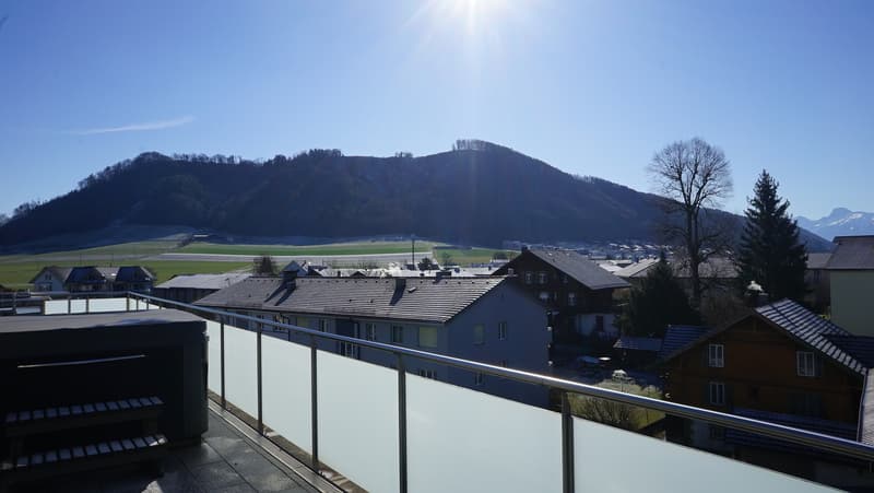 Exklusive Attikawohnung mit Jacuzzi! (6)