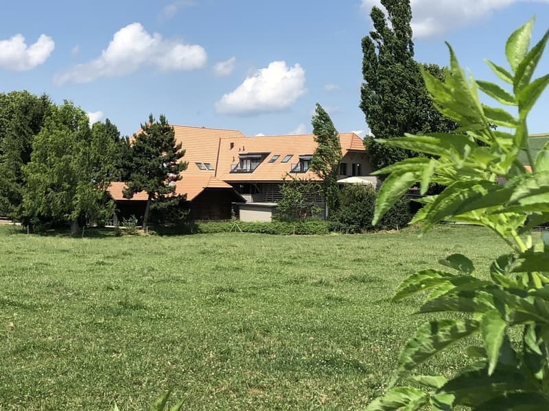 Charmante 3.5-Zimmer-Wohnung in Niedermuhlern! (1)