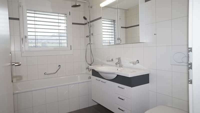 4.5 Zimmer Dachwohnung mit Galerie (5)
