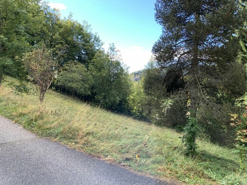 Land in St-Cergue (2)