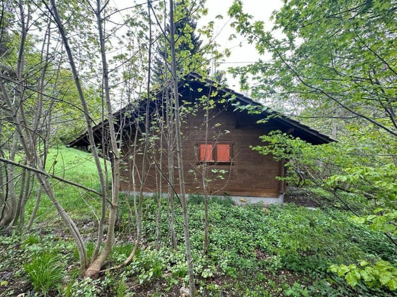 Land in St-Cergue (3)