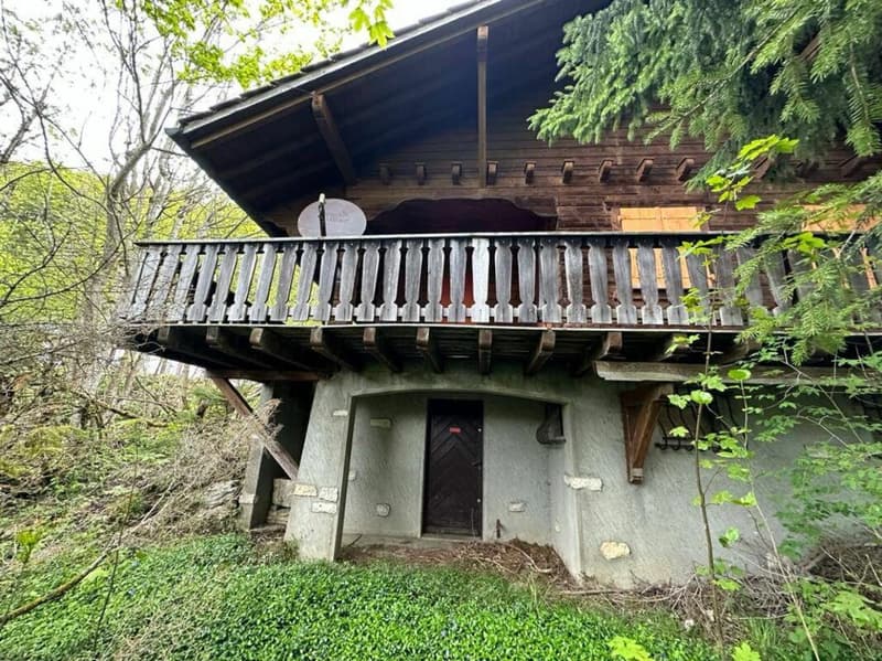 Land in St-Cergue (7)