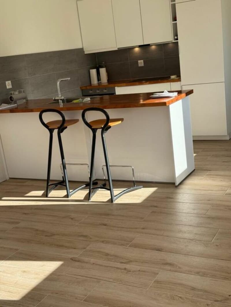Buy-to-let property building in Vuissens (7)