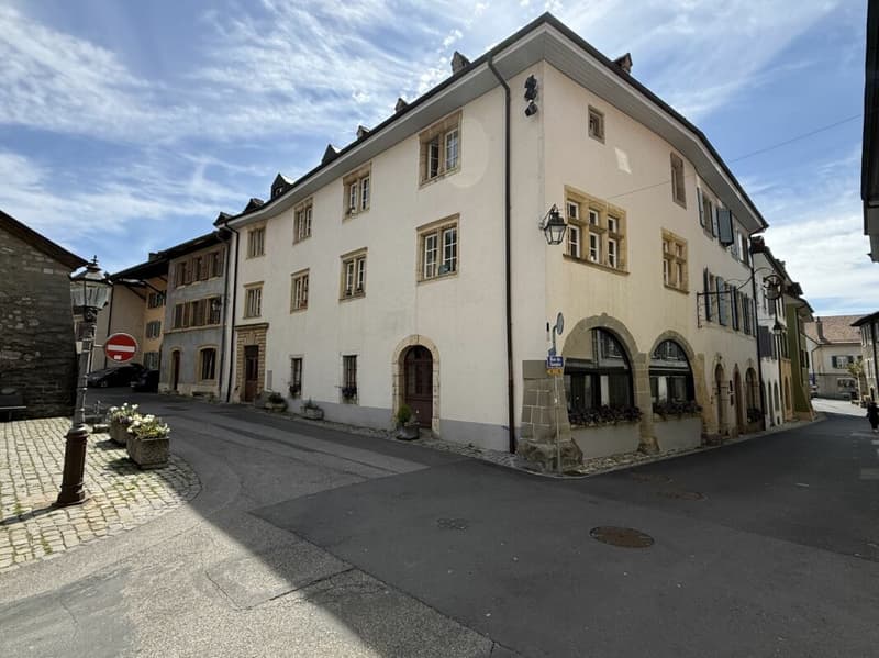 Magnifique immeuble historique à affectation mixte restaurant et habitations (1)
