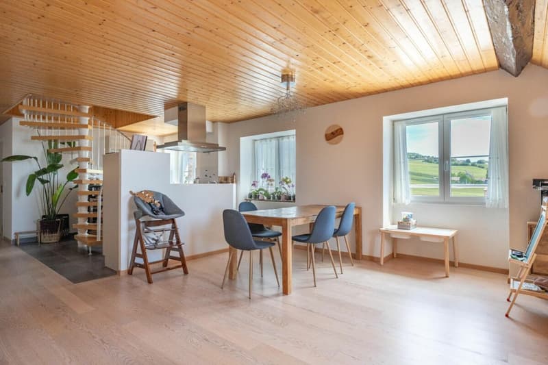 Appartement en attique avec vue lac et vignes (4)