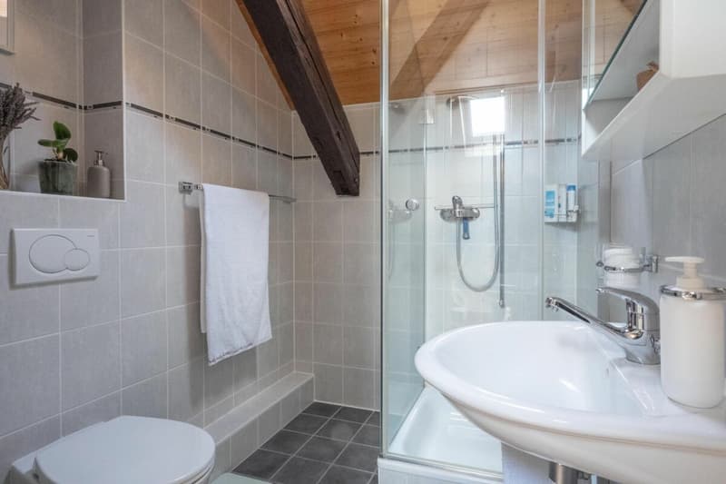 Appartement en attique avec vue lac et vignes (9)