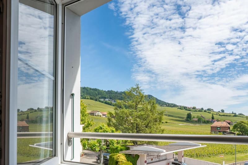 Appartement en attique avec vue lac et vignes (1)