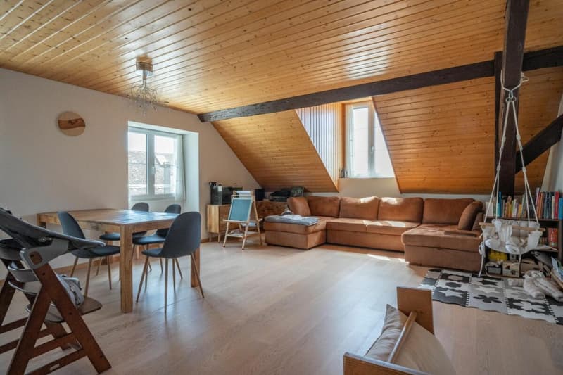 Appartement en attique avec vue lac et vignes (2)