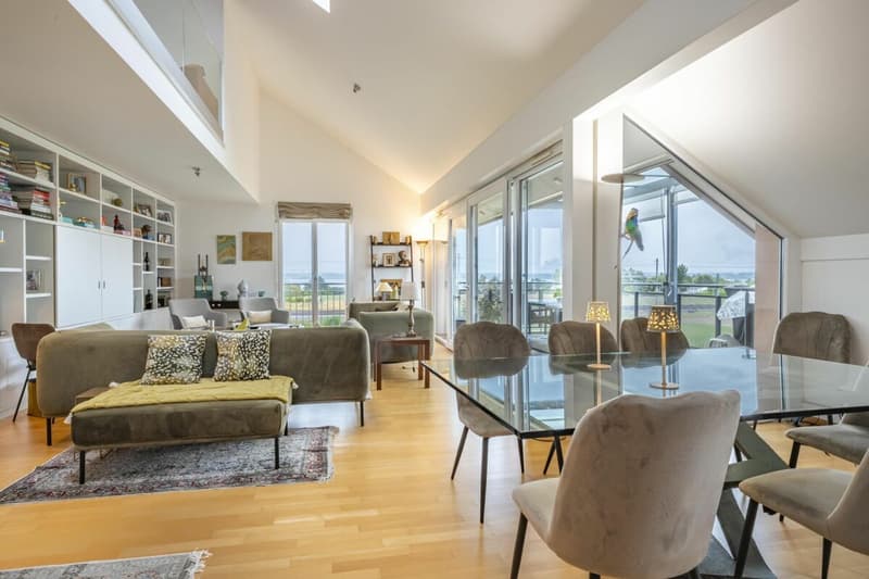 Attique en duplex (3)