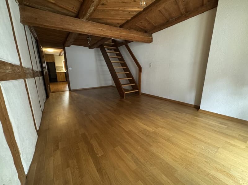 Duplex ancien au charme classique - au coeur de la vieille ville (4)