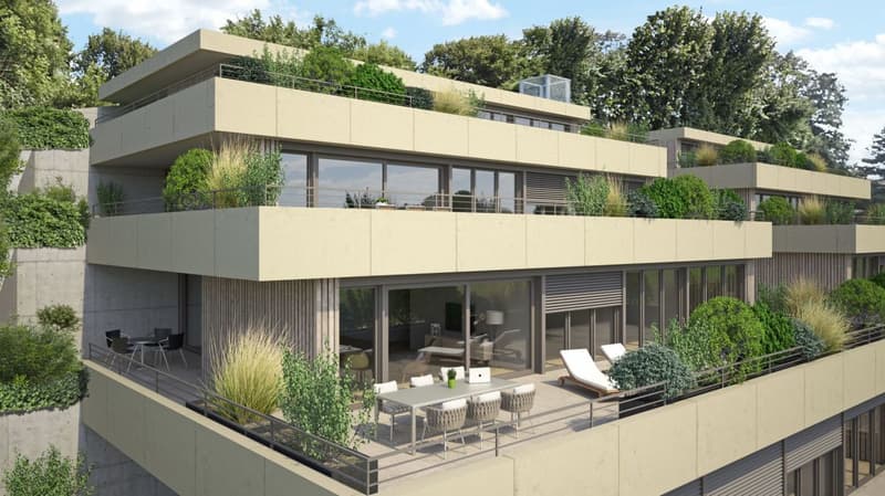 4.5-room terrace house with a view of the Alps and the Aare landscape (3)