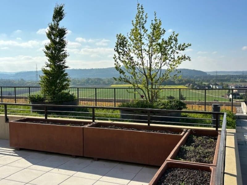 4.5-room terrace house with a view of the Alps and the Aare landscape (9)