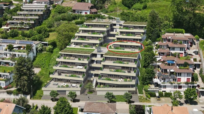 4.5-room terrace house with a view of the Alps and the Aare landscape (1)