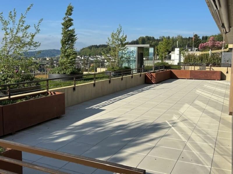 4.5-room terrace house with a view of the Alps and the Aare landscape (7)