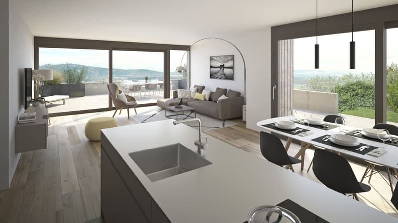 4.5-room terrace house with a view of the Alps and the Aare landscape (5)