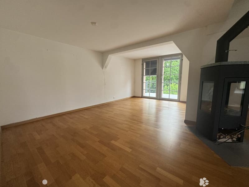 3½-Zimmer-Dachwohnung in einer Villa an ruhiger, zentraler Lage (3)