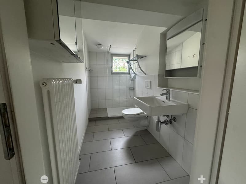 3½-Zimmer-Dachwohnung in einer Villa an ruhiger, zentraler Lage (6)