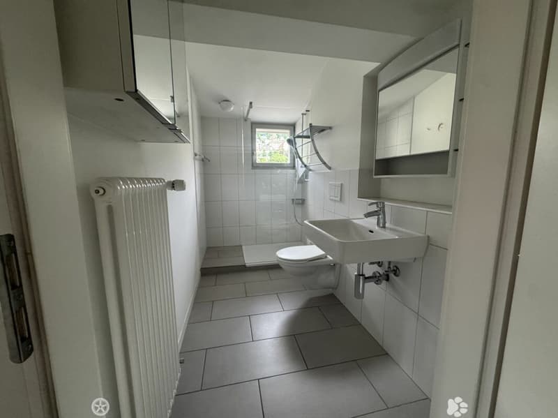 3½-Zimmer-Dachwohnung in einer Villa an ruhiger, zentraler Lage (6)
