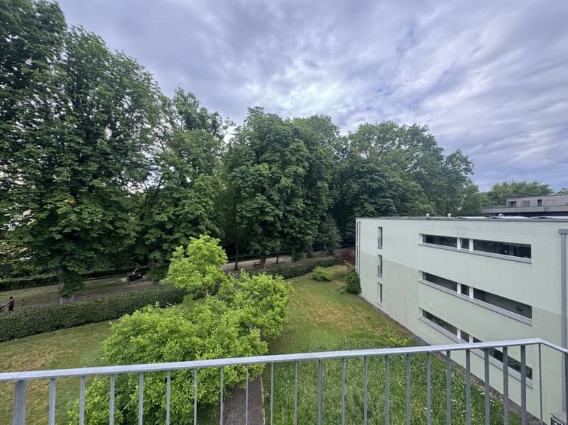 Appartement mansardé de 3½ pièces dans une villa située dans un quartier calme et central (13)
