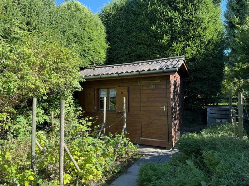 Incantevole casa unifamiliare di 6½ locali in un'oasi verde idilliaca (17)