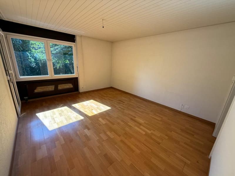 Incantevole casa unifamiliare di 6½ locali in un'oasi verde idilliaca (12)