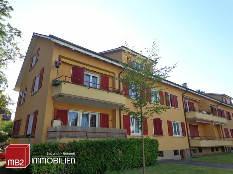 Schöne Genossenschaftswohnungen mit Balkon zu vermieten / Joli appartement d'une coopérative avec balcon à louer (1)
