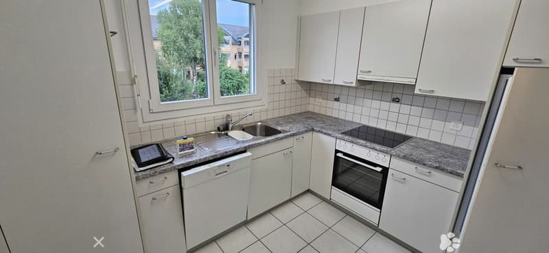 Dachwohnung (ohne Balkon) in ruhigem Genossenschafts-Quartier (2)