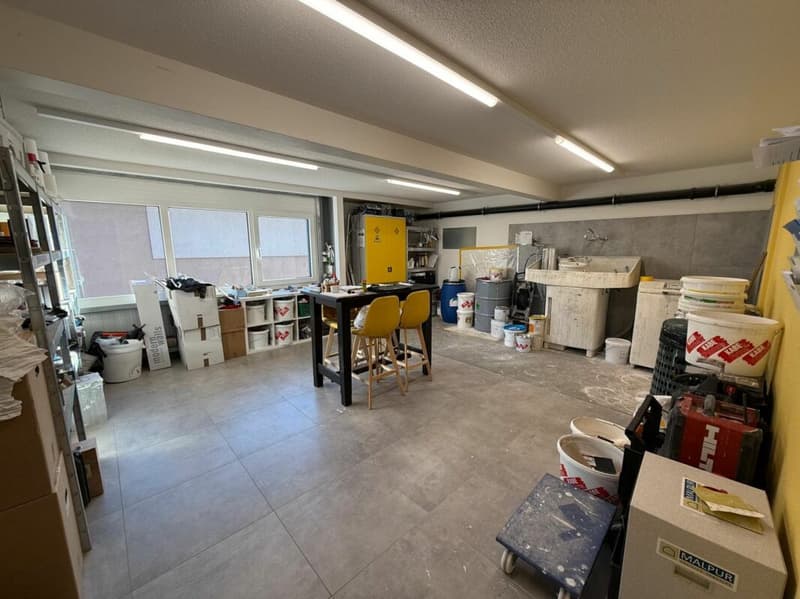 Proprietà commerciale con uffici e magazzino (14)