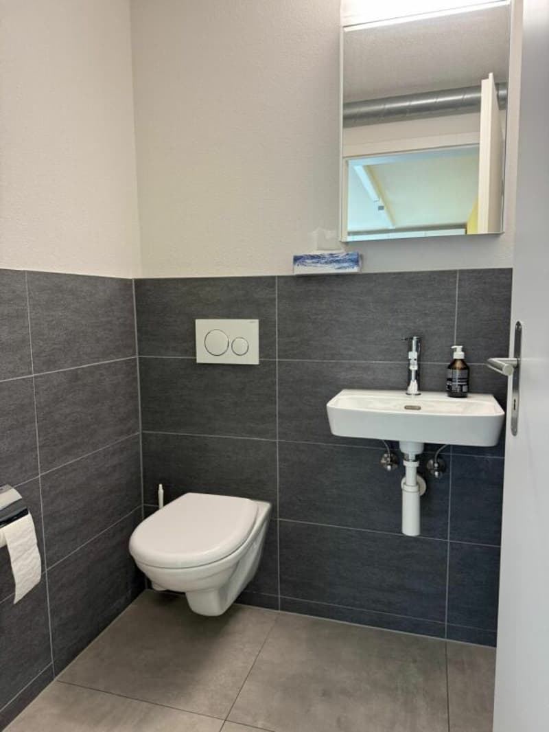 Proprietà commerciale con uffici e magazzino (9)