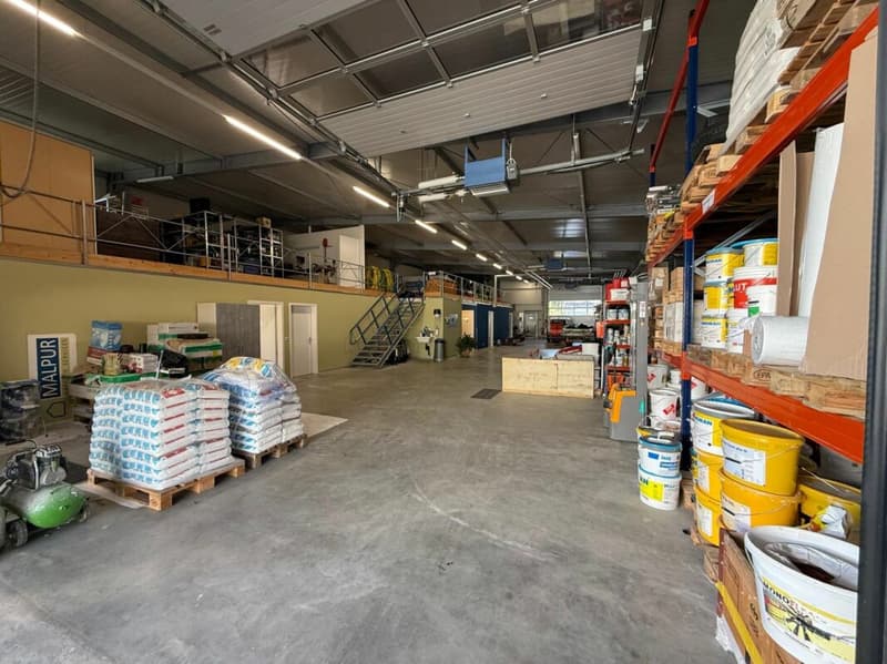 Proprietà commerciale con uffici e magazzino (7)