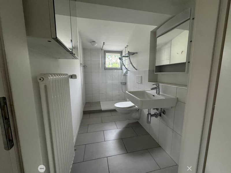 3½-Zimmer-Dachwohnung in einer Villa an ruhiger, zentraler Lage (6)