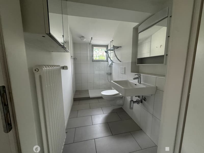 3½-Zimmer-Dachwohnung in einer Villa an ruhiger, zentraler Lage (6)