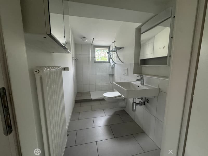 3½-Zimmer-Dachwohnung in einer Villa an ruhiger, zentraler Lage (6)
