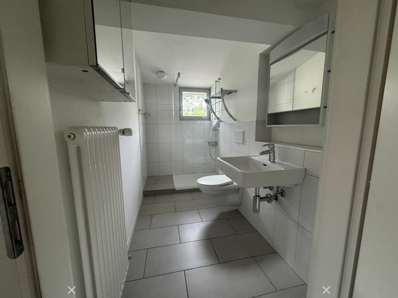 3½-Zimmer-Dachwohnung in einer Villa an ruhiger, zentraler Lage (6)