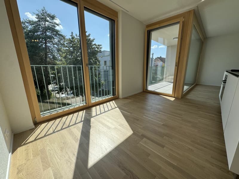 Studio Unterfeldweg 2 Lyss (4)