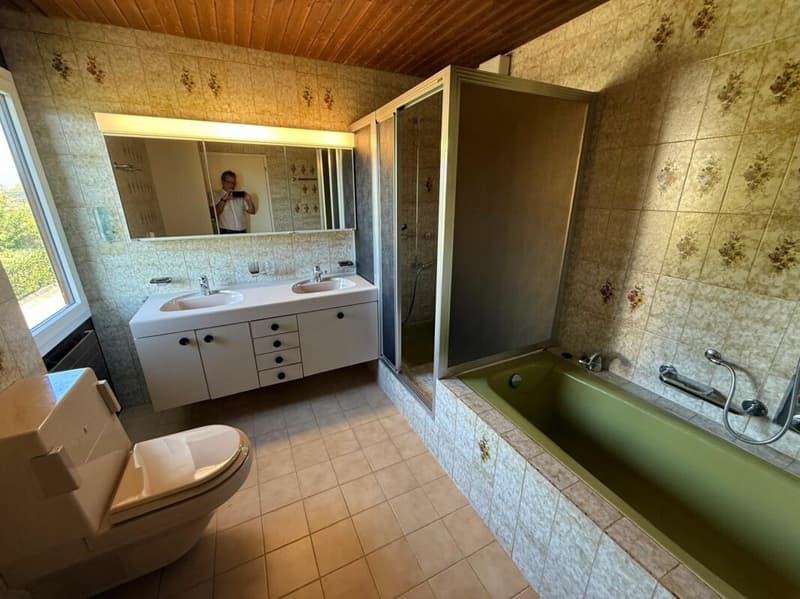 Freistehendes 5,5-Zimmer-Einfamilienhaus mit 2-Zimmer-Einlegerwohnung (19)