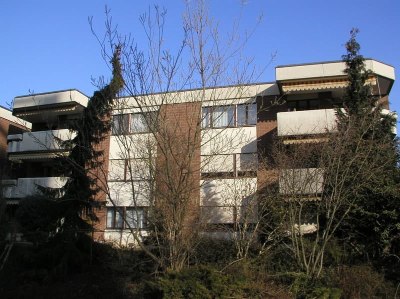 Familienfreundliche 4½-Zimmerwohnung in Nidau (1)