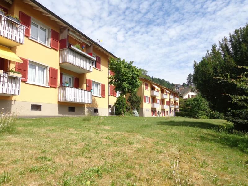 Schöne Genossenschaftswohnung an erhöhter Lage (ohne Balkon) (1)