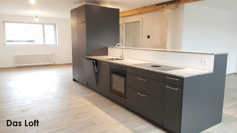 Loft nähe Stadtpark zu vermieten (mit virtueller Tour) (2)