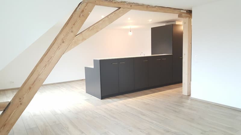 Loft nähe Stadtpark zu vermieten (mit virtueller Tour) (4)