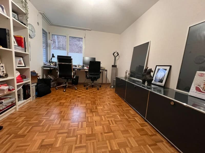 Morderne 5½-Zimmerwohnung in einem ruhigen Quartier (10)
